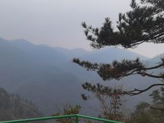 -四明山国家森林公园