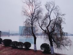 -金银湖国家城市湿地公园