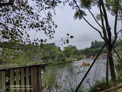-黄龙溪欢乐田园