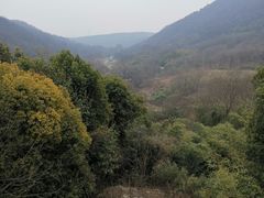 -南京老山国家森林公园