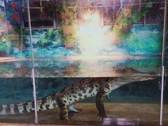 -成都浩海立方海洋公园