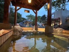 -和园景逸大酒店朗月汤泉
