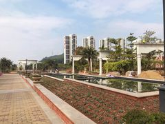 -美的鹭湖森林度假区