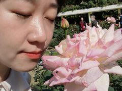 -人民公园(罗湖区)