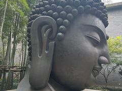 -杭州植物园