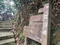 -梧桐山风景名胜区