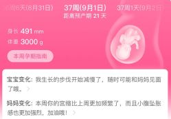 -北京怡德医院妇产中心