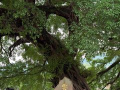 -云水谣景区