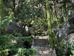 -沂蒙山旅游区云蒙景区(蒙山国家森林公园)
