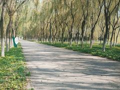 -东郊湿地公园