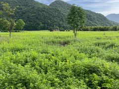 -大九湖