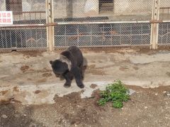 -大青山野生动物园