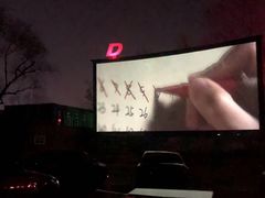 -枫花园汽车电影院(朝阳公园店)
