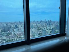 -上海龙之梦万丽酒店