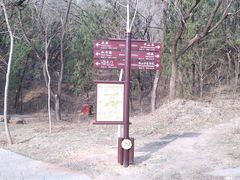 -北京西山国家森林公园