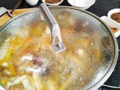 -菌极鲜野生菌火锅店(阳明祠店)