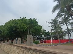 -深圳湾公园(南山区)
