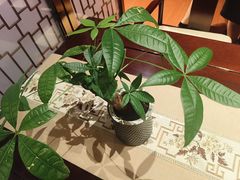 -红杏酒家·地道川菜(一品天下店)