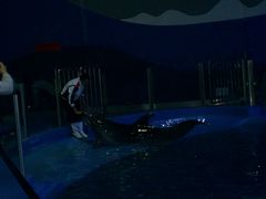 -苏州海洋馆