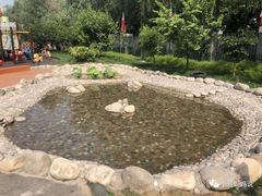 -金宝幼儿园(通州校区)