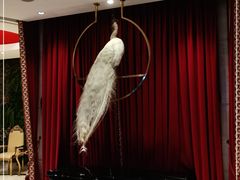 -红顶食府(滨湖九号店)