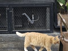 -北马山庄植趣咖啡