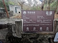 -都江堰中华大熊猫苑