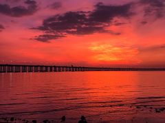 -宝安西湾红树林湿地公园