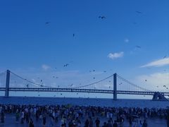 -星海广场