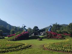 -东南花都花博园