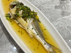 -老绍兴养和饭店(向阳不夜城店)