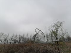-洋湖国家湿地公园