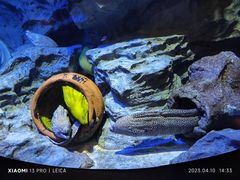 -新加坡海洋生态馆