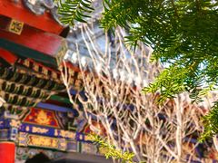 -长安寺