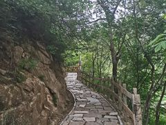 -大岭沟猕猴桃谷风景区