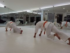 -极真空手道修远道场