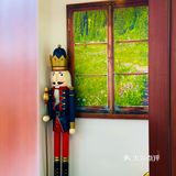 我说要个招牌 老板给我上了只猫🐱