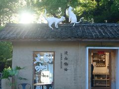 -杨家堂村