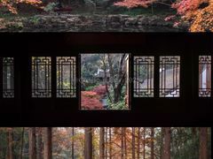-虎跑公园