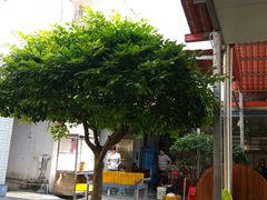 -阿弟早茶·家庭小炒·火锅(九村店)