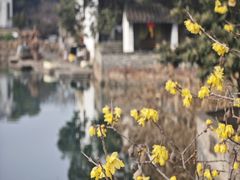 -丝绸小镇荻港古村