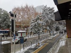 -霄汉羊排(万松园一店)