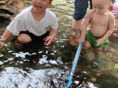 -成都市活水公园