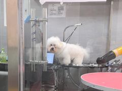 -宠福鑫康馨动物医院·骨科·眼科