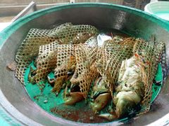 -西瓜小镇