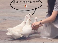 -世园罗曼小镇