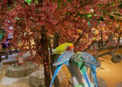 -酷嗒动物文化乐园(cutezoo西溪乐天城店)