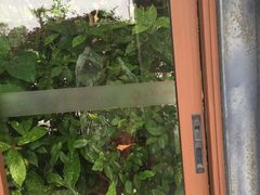 -张家港金凤凰度假村温泉