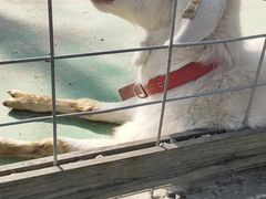 -前小桔亲子创意农场·草莓采摘·露营烧烤