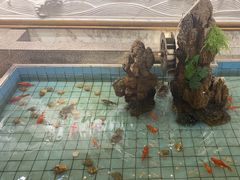 -良友·海鲜青岛菜·海肠捞饭(五四广场店)